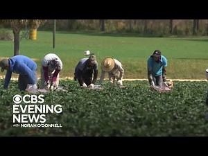 How extreme heat is taking a toll on U.S. workers