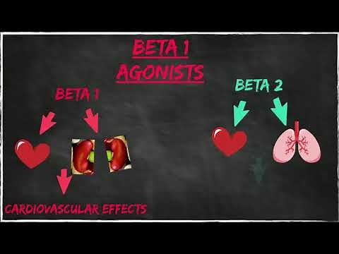 Adrenergic Physiology and Pharmacotherapy