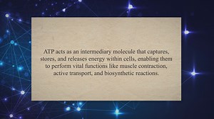 The role of ATP in cellular energy transfer