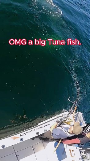 82K views · 200 reactions | wow big tuna fish #fishing #sea #real #tunafishing | Women Camping | Facebook