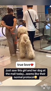 True love between dog and owner 🐶💗 #doglover #puppylove #doglife #dogsofinstagram #supertrainerpet | Trainingpet Dogcat