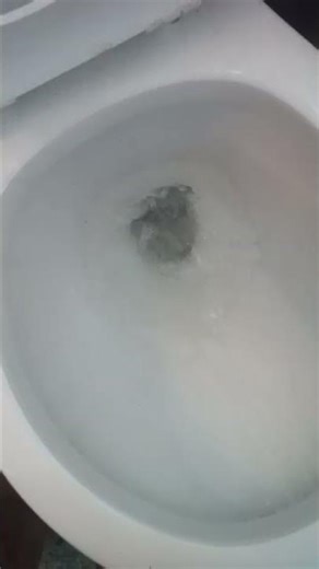 2022 project source Toilet at. my Nana's house