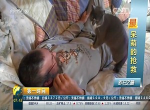 Primer Tiempo - Gatito hace un masaje para su dueño, ¡qué comodo! | CCTV