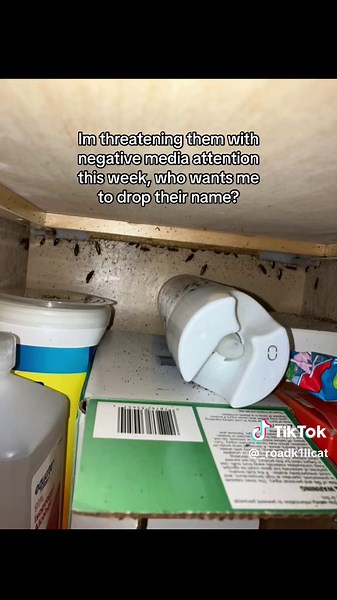 They are aware my baby is being bitten as well #apartment #namedrop #harrassing #illegal #scary #cockroaches #infestation #apartmentinfestation #greenscreen #greenscreenvideo