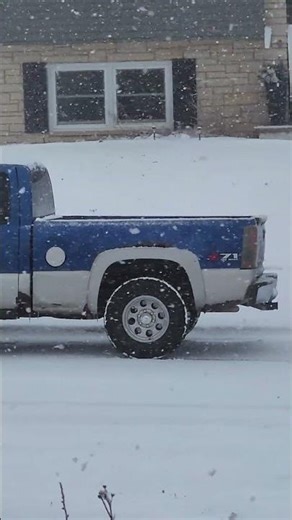 perfect day for cleaning reptile tanks