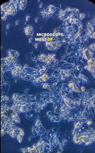 The Fascinating Science Behind Nature & Everyday Life