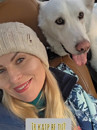 team dream 😂 Vaizdeliai, kurie nuramina ir visada pakelia nuotaiką. Ar yra šunys kada užgavę Pedro? Niekada, nors Bugas ir labai konkuruoja su katinu dėl dėmesio - kanda tik į neegzistuojančią Pedro uodegą!🤣 Šypsokitės! #rūtamikelkevičiūtė #dogfromshelter #šuoišprieglaudos #catftomshelter #augintiniskurįašmyliu