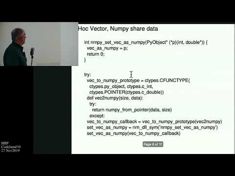 Hines Michael - NEURON Python interface strategies