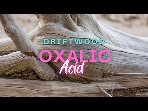 I tried brightening driftwood up with acid #floridashelling