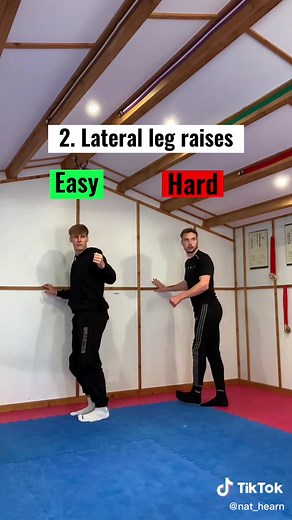 Stretches for higher kicks #martialarts