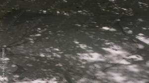 Boiling mud pools in Rincon de la Vieja National Park Costa Rica