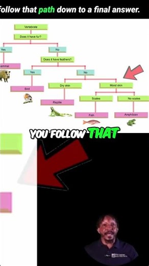 Unlock Mystery: What is a Dichotomous Key? #shorts