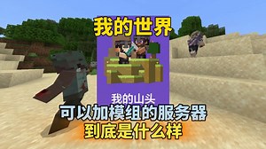 我的世界：可以加模组的服务器