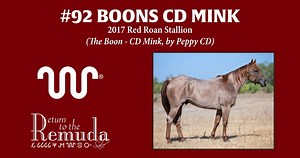 Best for last. Always something special to watch a sire make quick work of a herd. If you're in the market for a stallion, we got one right here. BOONS CD MINK (THE BOON x CD MINK, by PEPPY CD) 2017 Red Roan Stallion, Hip #92. The ONLY stud horse on offer from King Ranch at this year's Return to the Remuda sale. Hosted October 6th (Demonstration) and 7th (Auction) at the 6666 Ranch in Guthrie, TX. The KRQH team is looking forward to seeing y'all there. | King Ranch Quarter Horses