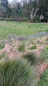 10K views · 220 reactions | Highlands copperhead removal from a property at wildes meadow nsw  | Southern highlands & south coast snake catchers | Facebook