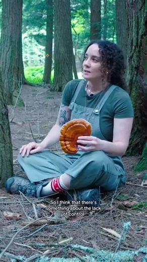 Isaias Hernandez | Mycophobia explained Mycophobia is an irrational fear of fungi. As PhD Mycologist @queendom_fungi shared with me, plants can be just as... | Instagram