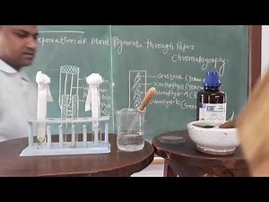 Separation of plant pigments by paper chromatography