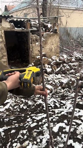 Electric Pruner Power Test ⚡✂️