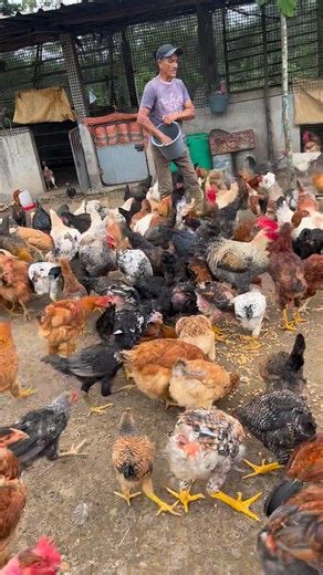 Hora de comer | MOROS Restaurant & Grill