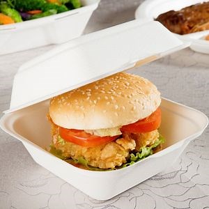 [Hot Item] Disposable Biodegradable Sugarcane Bagasse Food Container Lunch Box
