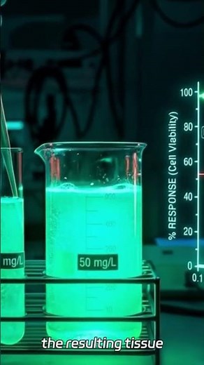 Unraveling the Hidden Dangers of Toxicology
