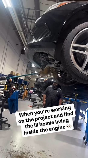 6.7K views · 11 reactions |  | Lowriders LA | Facebook