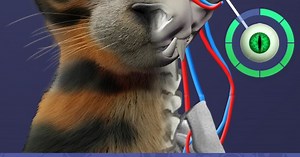 Download & Play Idle Pet - Create cell by cell on PC & Mac (Emulator)