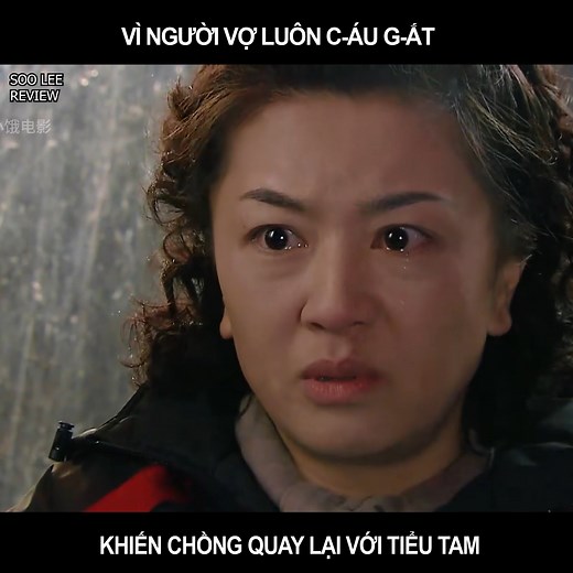 6.5K views · 105 reactions | Vì người vợ luôn c-áu g-ắt, khiến chồng quay lại với tiểu tam #phim #review | Hanwha Studio | Facebook