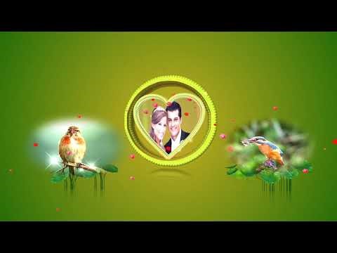 Blufftitler model show 2