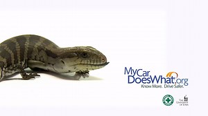 30K views · 28 reactions | On a "scale" of 1 to 10, how much do you really know about what your car can do? Check out MyCarDoesWhat.org | My Car Does What | Facebook