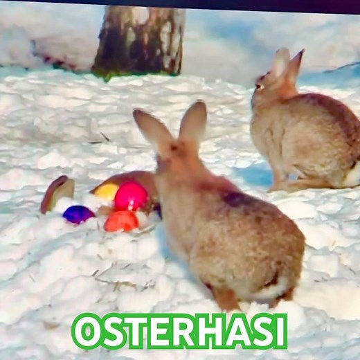 Easter Bunny versus Saint Nicholas, a satire by Gerhard Polt. Filmed Easter 2013 in Berlin-Haselh...