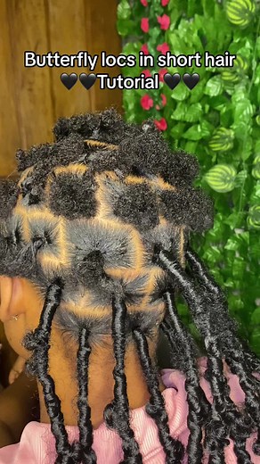 Easy Tutorial for Butterfly Locs on Short Hair