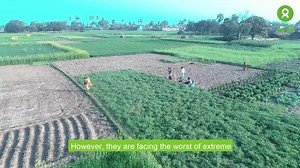 9.7K views · 1.2K reactions | Oxfam India is training women farmers to improve their incomes and help them establish small businesses. Donate NOW to support Oxfam India reach its goal of impacting 10,000 women. | Oxfam India | Facebook