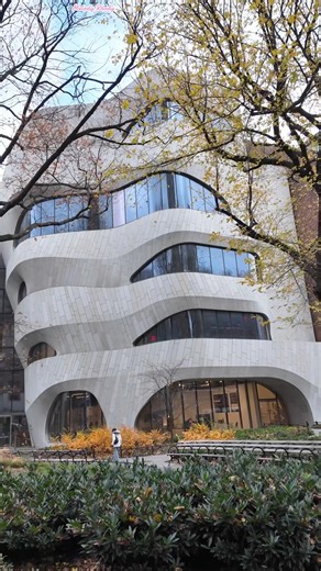 American Museum of Natural History | NYC