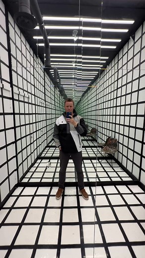 18K views · 80 reactions | Have you ever been in a room like this? #whatsinside #opticalillusion | What's Inside? | Facebook