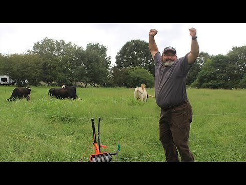 This Will Change How We Raise Cattle | Gallagher Smart Fence Review