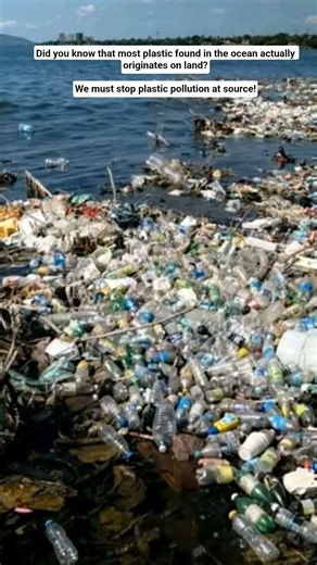 End plastic pollution now
