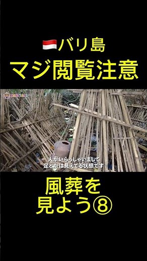 This is the first time I've seen something like this. "Sky burial" in Trunyan, Bali 🇮🇩 #overseast...