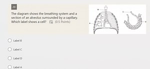 20The diagram shows the breathing system and a section of an a... | Filo