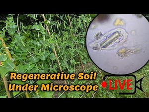 Living Soil under Microscope / Q&A / Live July12th