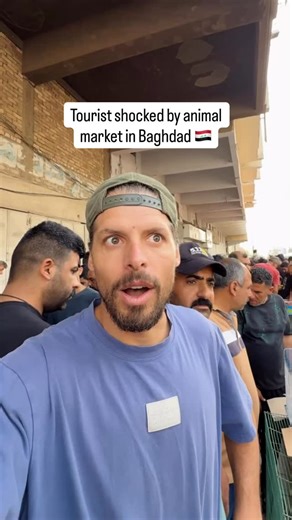 The Friday Market in Baghdad is unbelievable! 😱🦅 Never seen anything like this before! This place is a must visit when traveling to Iraq. Make sure you are in Baghdad on a Friday and then head to the market. You can find anything here… literally anything! The animal section is around these coordinates: 📍 33°20’11.7”N 44°24’01.0”E It starts around Wathba Square which is a roundabout connecting Khulafa Street and شارع حافظ الغامدي (Hafez Al-Ghamdi Street). Every Friday morning, this street in B