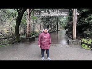 A short video of MUIR WOODS NATIONAL MONUMENT , California, USA | USA diaries