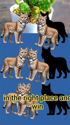 Photo Stop Challenge Onion #viral #stopchallenge #shorts