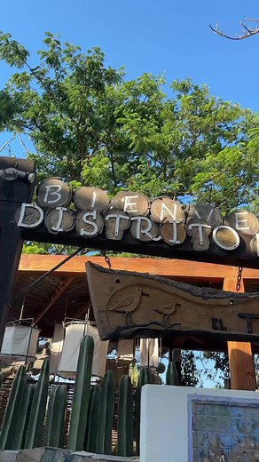 No puedes dejar de visitar San José del Cabo, el corazón cultural de nuestro destino. Pasa una tarde recorriendo sus coloridas calles llenas de street art y galerías sorprendentes en el Distrito del Arte. 💙👉 https://bit.ly/3sPzfm9 | Los Cabos México