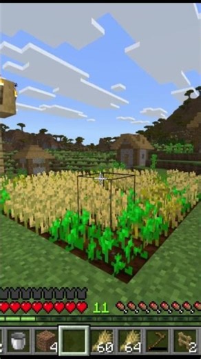 Minecraft time-lapse