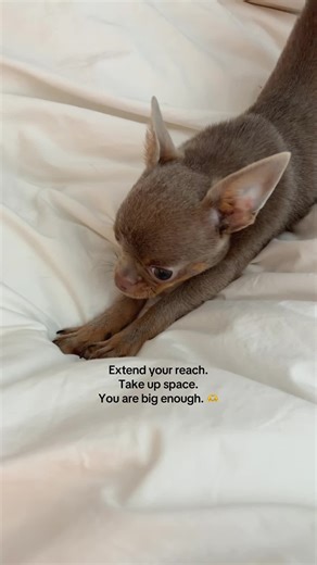 Bluey's Weekly Wisdom: Stretch and Embrace Yourself