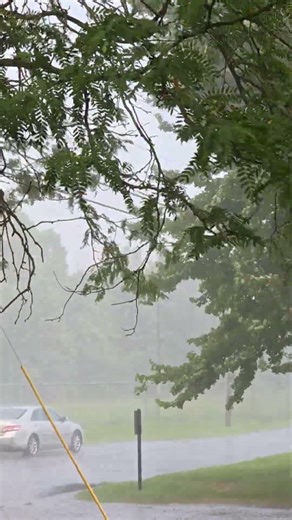 Heavy rain shower 🌧️☔