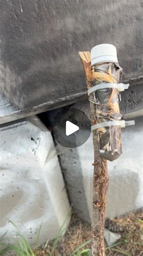 Geocaching | 🪵 This cache didn’t ‘stick’ out like we thought it would! 🪵 Video: A geocacher stands next to a large concrete retaining wall. The wall... | Instagram