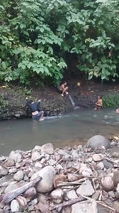 66K views · 150 reactions | Big Anaconda attack a human | Animal’s Attack | Facebook