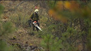 Firefighters to use 'burnout' tactic in battling wildfires